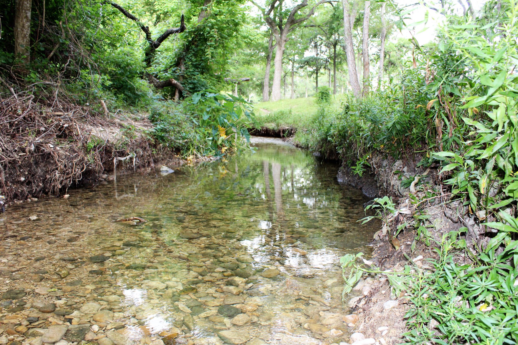 About Plum Creek Watershed Partnership